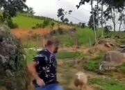 Tabir Terbuka:Rahasia Tersembunyi: Arti Mimpi Diseruduk Kambing : Ini Penjelasannya