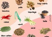 10 Jenis Rempah Rempah Di Indonesia