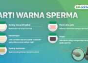 5 Tips Sperma Sehat yang Perlu Pria Ketahui