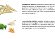 10 Jenis Serat