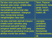 10 Jenis Obat yang Sering Ditayangkan Menurut Menkes 1994