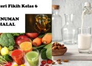 10 Jenis Minuman Halal Serta Kandungan Gizi yang Menyehatkan