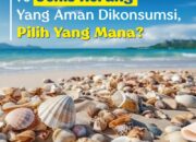 10 Jenis Kerang yang Lezat dan Mengandung Nutrisi Tinggi