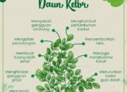 10 Jenis Daun dan Manfaatnya yang Harus Kamu Tahu