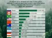 10 Hutan Terluas di Dunia yang Menjadi Paru-Paru Bumi!