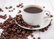 10 Jenis Kopi Paling Populer di Indonesia untuk Pecinta Kopi