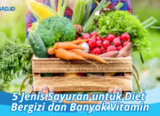 10 Jenis Sayuran Beserta Kandungan Gizi Dan Manfaatnya