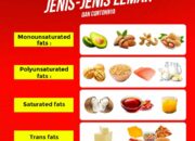 4 Tipe Susu Berdasarkan Kandungan Lemak: Pilih yang Terbaik untuk Kesehatan Anda!