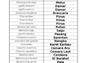 10 Pohon Kehutanan Beserta Nama Latinnya yang Menjaga Kelestarian Alam!
