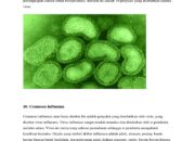 10 Jenis Penyakit yang Disebabkan oleh Virus yang Perlu Diwaspadai