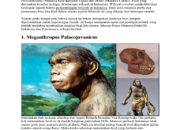 10 Jenis Manusia Purba dan Ciri-Cirinya yang Perlu Kamu Ketahui