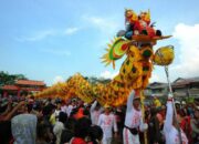 10 Warga Negara Asing yang Sukses Menjadi Warga Negara Indonesia!