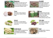 10 Jenis Pangan yang Lebih Sehat dari Nasi untuk Diet Ideal