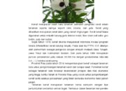 10 Jenis Tanaman Sandang yang Digunakan dalam Industri Tekstil