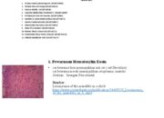 10 Teknik Pewarnaan dalam Histologi dan Penggunaannya