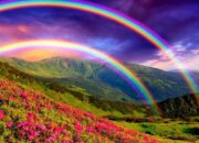 7 Warna Pelangi Bulat: Fenomena Alam yang Jarang Terlihat dan Artinya