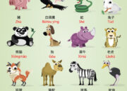 10 Hewan Laut dan Nama dalam Pinyin yang Membuatmu Semakin Tertarik dengan Bahasa Mandarin!
