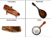 10 Jenis Alat Musik Chordophone dan Asal Budayanya