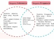 10 Perbedaan Negara Indonesia dan Singapura: Dari Ekonomi hingga Gaya Hidup
