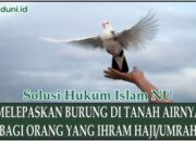 Pahala Melepaskan Burung: Bagaimana Islam Memandang Kebaikan Terhadap Makhluk