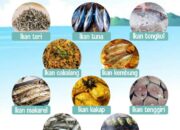 10 Jenis Ikan Laut yang Lezat dan Bisa Dikonsumsi Sehari-hari