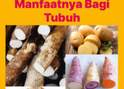 10 Jenis Umbi dan Manfaatnya bagi Kesehatan