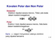 10 Perbedaan Senyawa Polar dan Nonpolar: Sifat Kimia dan Contoh