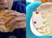4 Tipe Air yang Berpengaruh Terhadap Perkembangan Bakteri: Waspadai Kontaminasi di Makanan!