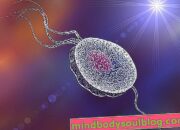 10 Jenis Penyakit yang Disebabkan oleh Protozoa dan Cara Pencegahannya