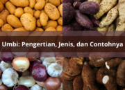 10 Jenis Tumbuhan Umbi yang Kaya Gizi dan Mudah Ditemukan