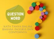 10 Jenis Kalimat Tanya dalam Bahasa Inggris dengan Nada Naik
