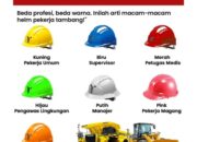 7 Warna Production: Profil Perusahaan dan Proyek-Proyek Terbaiknya