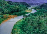 10 Sungai Penting di Pulau Jawa dan Peranannya bagi Kehidupan Sehari-hari!