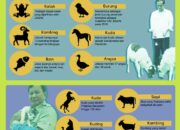 10 Jenis dan 2 Family Hewan yang Mendapat Persetujuan Presiden