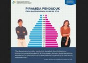 3 Hal yang Mempengaruhi Susunan Penduduk Indonesia: Demografi dan Perubahannya