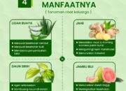 10 Jenis Tanaman Obat: Khasiat dan Gambar untuk Referensi