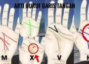 Simian Line Menurut Primbon: Apa Arti Garis Tangan Ini dalam Kehidupan?