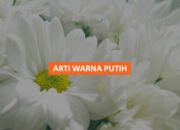 Arti Warna Putih Menurut Primbon Jawa: Mengungkap Makna Kesucian