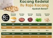 10 Jenis Leguminosa dan Ciri-Cirinya untuk Pertanian