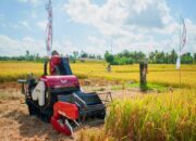 10 Alat Pertanian Modern dan Fungsinya yang Membantu Petani