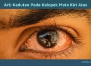 Arti Kedutan Kelopak Mata Kiri Atas Menurut Primbon Jawa: Maknanya dalam Hidup