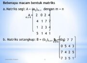 10 Macam Matriks dalam Matematika dan Aplikasinya