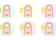 Apa yang Dikatakan 10 Bentuk Kuku Tentang Kepribadianmu?