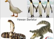 10 Hewan Ovipar dengan Cara Bertelur yang Menarik dan Beragam!