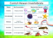 10 Hewan Vertebrata dan Invertebrata yang Membentuk Keanekaragaman Hayati!
