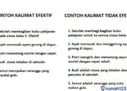4 Tipe Shelter V-Sheet: Solusi Perlindungan yang Efektif untuk Berbagai Kebutuhan!