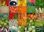 10 Sayuran Sehari-hari dengan Nama Latin yang Perlu Kamu Ketahui!
