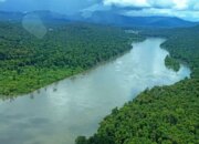 10 Sungai Terbesar di Pulau Papua yang Menjadi Sumber Kehidupan Alam!