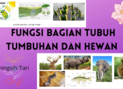 10 Hewan dan Tumbuhan: Bagian yang Diambil dan Manfaatnya!