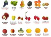 10 Nama Buah dalam Bahasa Jerman untuk Menambah Kosakata Kamu!